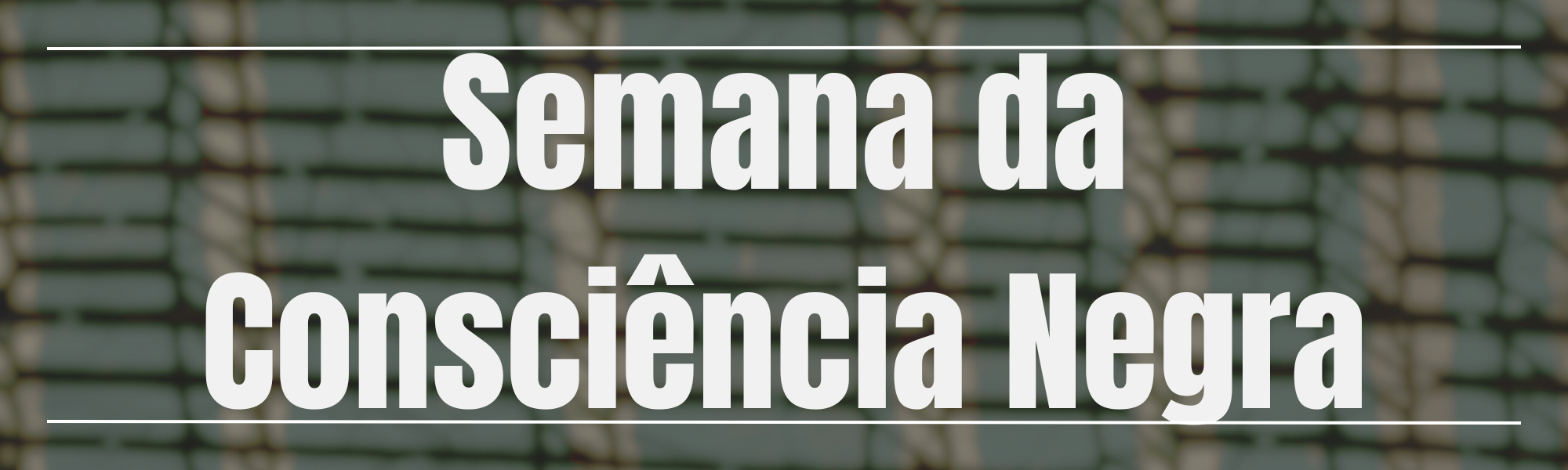 Semana Da Consciência Negra 2024-11-22